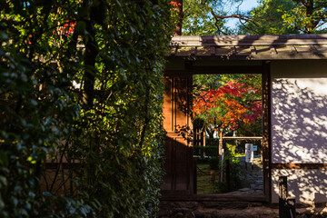 日本　京都、桂春院の紅葉