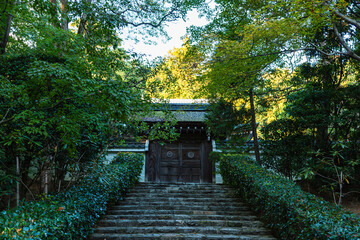 Fototapeta na wymiar 日本　京都、龍安寺の石段と門