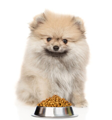 Pomeranian spitz puppy sits with bowl of dry dog food. isolated on white background