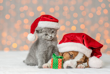 Jack russell terrier puppy sleeps near kitten with gift box. Pets wearing santa's hats on festive background