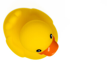 rubber yellow duck on white copy space