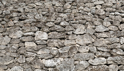 The background of the wall is made of weathered blocks of light shades.