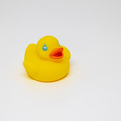 small yellow rubber duck isolated on white background