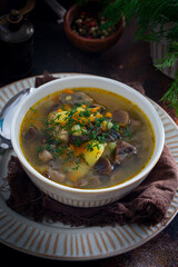 Homemade soup with wild mushrooms and red lentils, selective focus