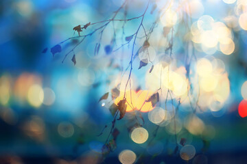 autumn abstract bokeh background, new bright october blurred