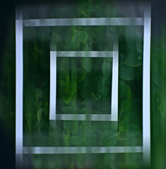 blurred background leaves / greens spring abstraction