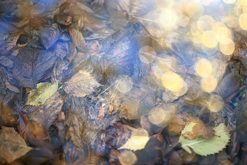 autumn abstract bokeh background, new bright october blurred