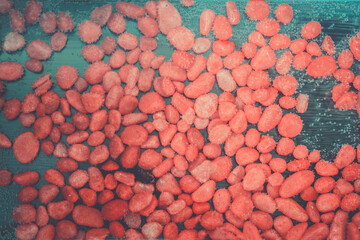 Beautiful red stones under water