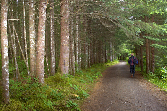 retired man taking a walk in the woods