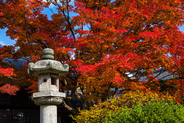 日本　京都、源光庵の紅葉