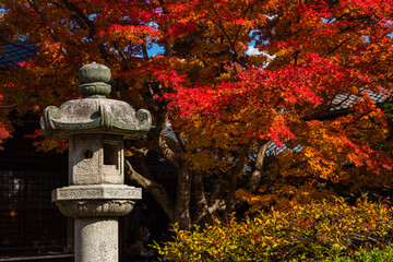日本　京都、源光庵の紅葉