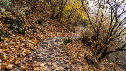 Walking on a beautiful path during fall season, Montreux, Switzerland. 