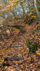 Walking on a beautiful path during fall season, Montreux, Switzerland. 