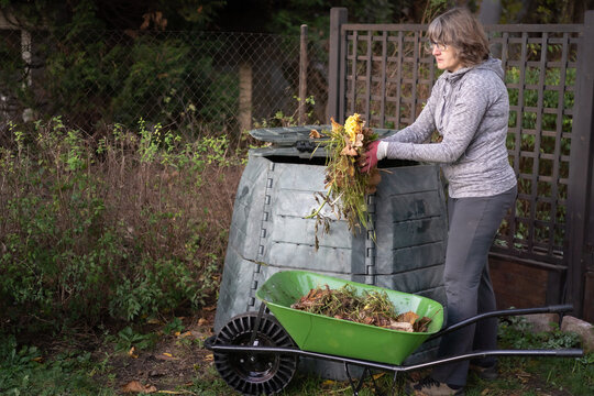 Middle aged caucasian woman throwing garden waste from wheelbarrow into compost bin in garden. Zero waste, sustainability and environmental protection concept