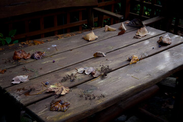 a wooden table on the terrace covered with fallen autumn leaves