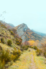  Autumn landscape in a Spanish location