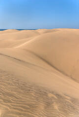 Desert landscape in the dunes of Maspalomas, Gran Canaria, Canary Islands, Spain
