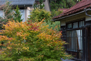 Fototapeta na wymiar 秋の紅葉と田舎の住宅地の風景