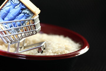 Miniature fish model put in the shopping cart model among rice bowl scene.