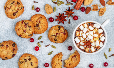 Hot chocolate (coffee, cocoa) with marshmallows in a white Cup and homemade cookies with cranberries, almonds and spices (cinnamon, star anise, cardamom, cloves). A traditional winter or autumn treat