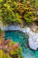 紅葉の阿寺渓谷