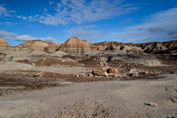 アリゾナ化石の森国立公園（Petrified Forest National Park）珪化木