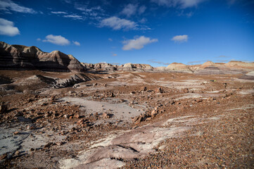アリゾナ化石の森国立公園（Petrified Forest National Park）珪化木