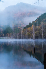 夜明けの朝霧の自然湖に映る紅葉