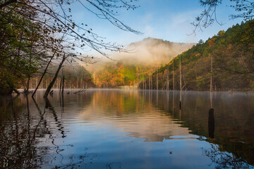 Fototapeta na wymiar 夜明けの朝霧の自然湖に映る紅葉