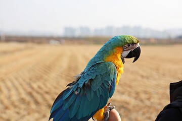 한국공원에서새동호회회원들을만나찍은사진입니다