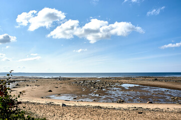 sandy beach on the Onega coast of the white sea	