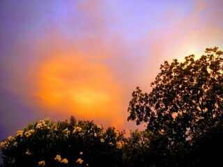 Colores en el cielo de atardecer sobre árboles