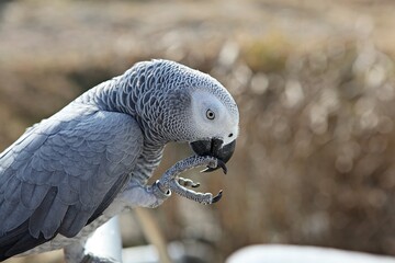한국공원에서새동호회회원들을만나찍은사진입니다