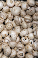 Fresh white mushrooms and champignons