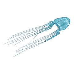 Obraz na płótnie Canvas Vector Cartoon Single Box Jellyfish
