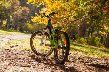Fototapeta na wymiar Children's mountain bike stands on the lawn in the park. Against the background of golden autumn trees.