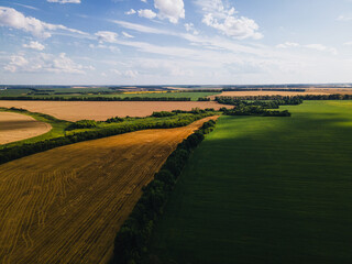 landscape in the country