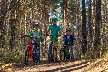 Three young cyclists are standing on a forest road against the backdrop of a pine forest.