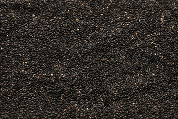 Seeds of a black sesame.
