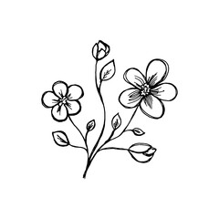 Sprig with flowers. Two flowers and a bud. Isolated on a white background. Black outline. Decor element. Drawn by hand. Vector.