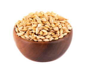 Malted barley grains in wooden bowl, isolated on white background. Barley seed close up.