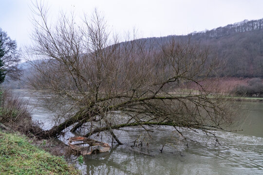 Broken boat and old bare tree leaning over a river in winter