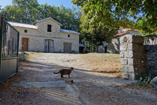 Vieille maison en Corse surveill&eacute;e par un chat