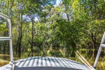 Point of view looking out from front of a boat on the Amazon River towards the forest & jungle trees & green foliage emerging from the water in the State of Amazonas, Brazil, South America