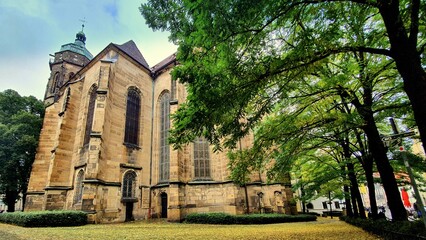 Fototapeta na wymiar evangelische Marienkirche in Pirna in Sachsen mit großen Bäumen im Kirchhof