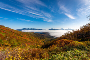 北海道・大雪山系の赤岳で見た、銀泉台に広がる色とりどりの紅葉と迫り来る雲海、快晴の青空
