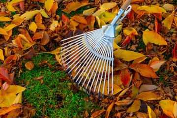 autumn leaves are swept together with a fan broom, green lawn and red and yellow leaves