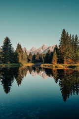 Morning glow of pine trees and the Teton Range of the Rocky Mountains.  Schwabacher Landing in Grand Teton National Park, Wyoming, USA. Water reflections of the Teton Range on the Snake River. 