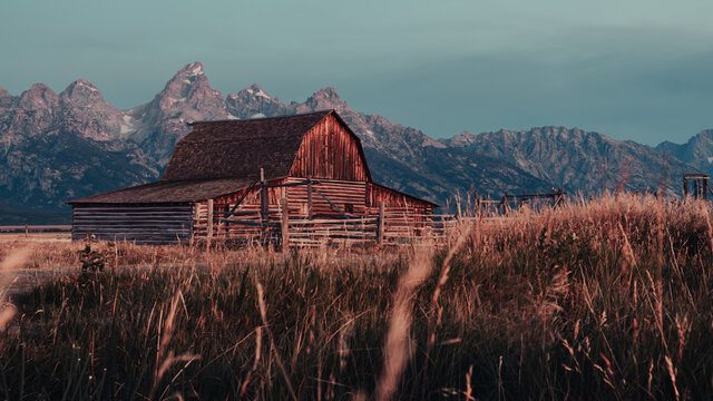 The Famous John Moulton Barn at sunrise in the Historic Mormon Row District of Grand Teton National Park, Wyoming, USA. Morning sunshine on the Teton Mountains in the background. 