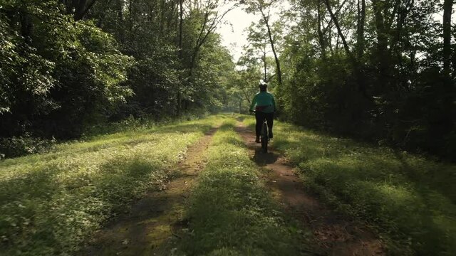 Woman riding mountain bike down wooded dirt path, Tracking Shot
